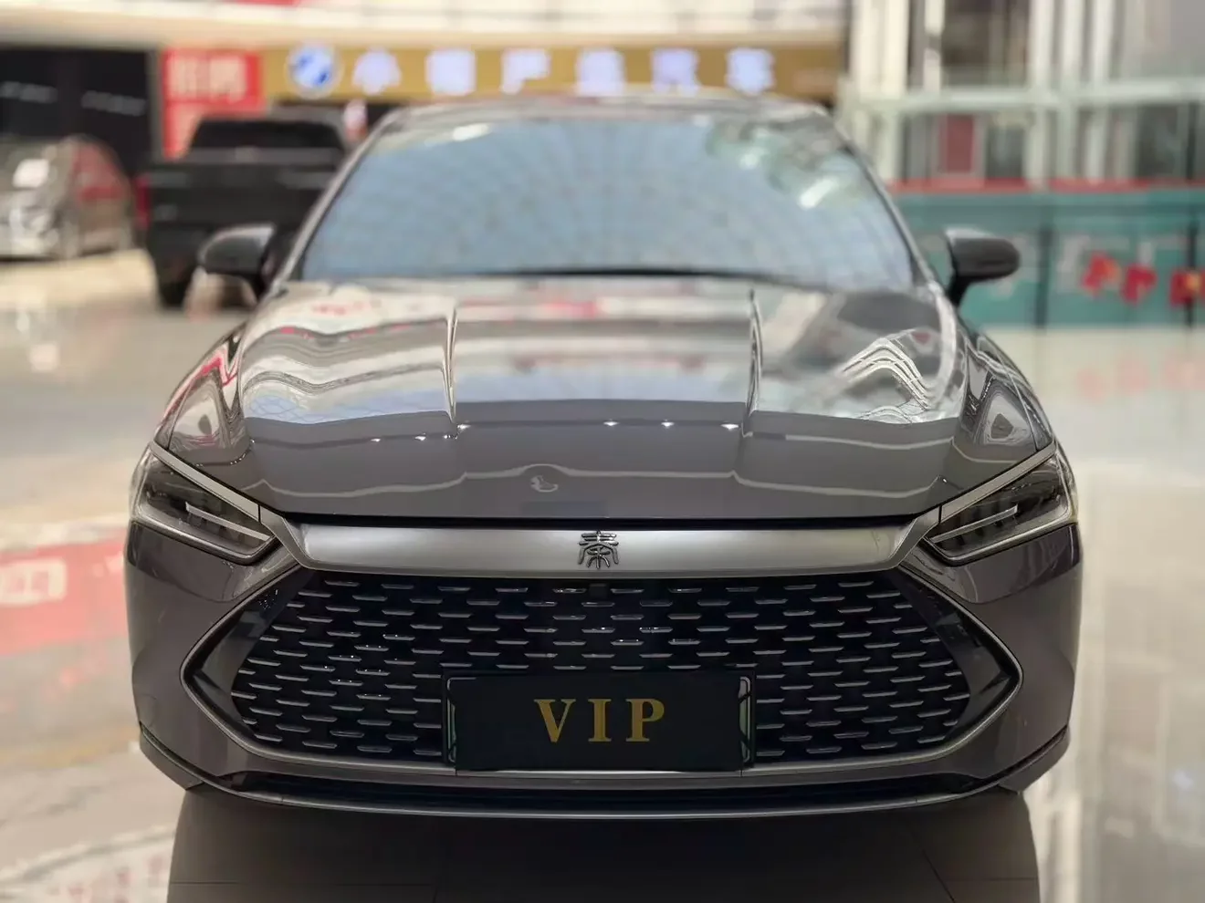 BYD Qin PLUS DM