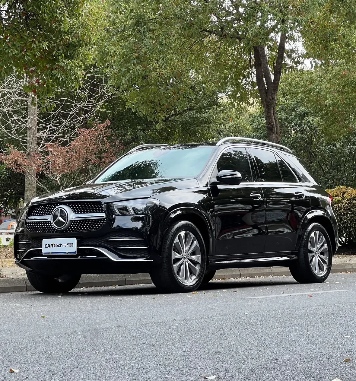 Mercedes-Benz GLE (Imported)