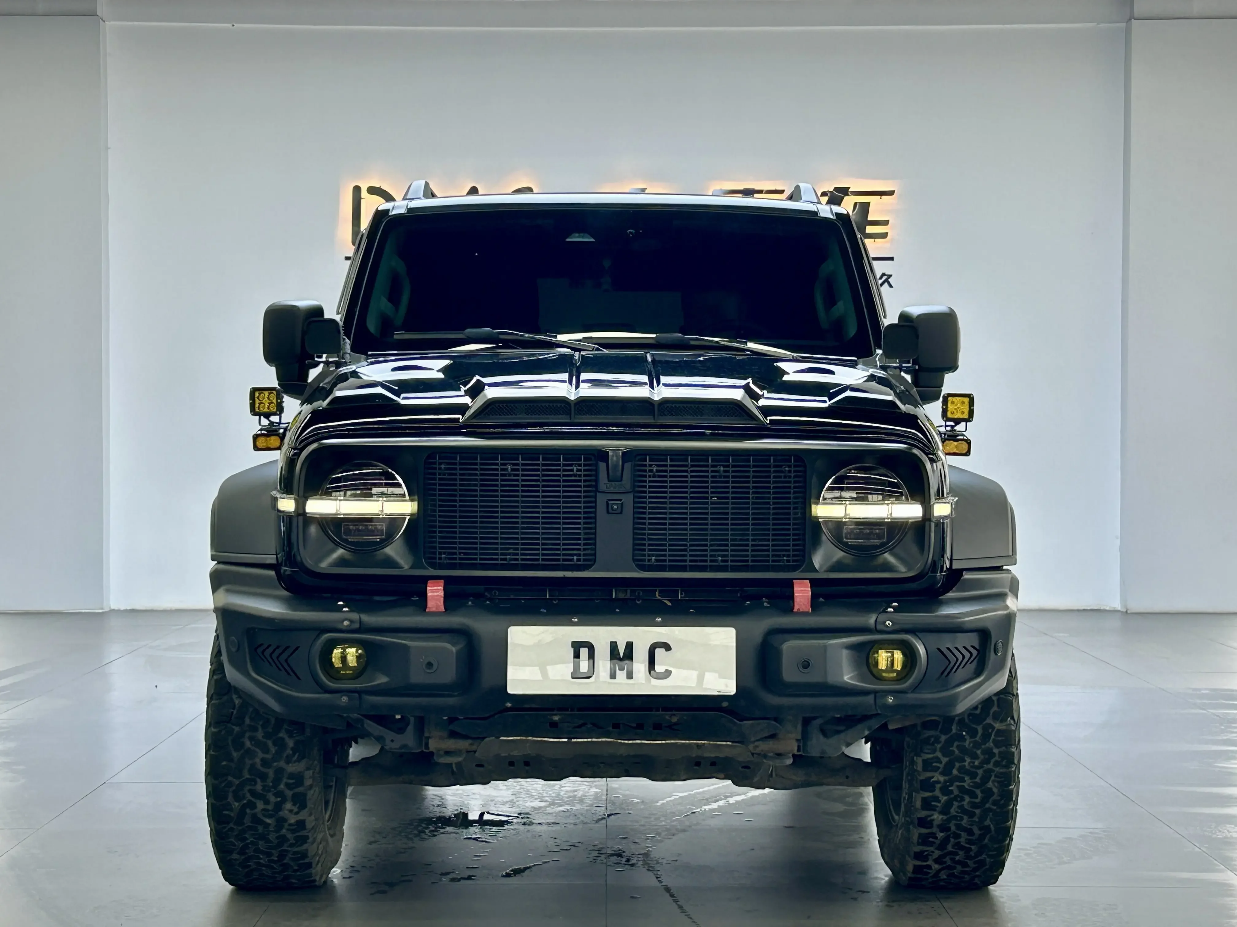 Tank 300