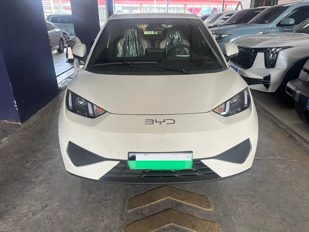 BYD seagull