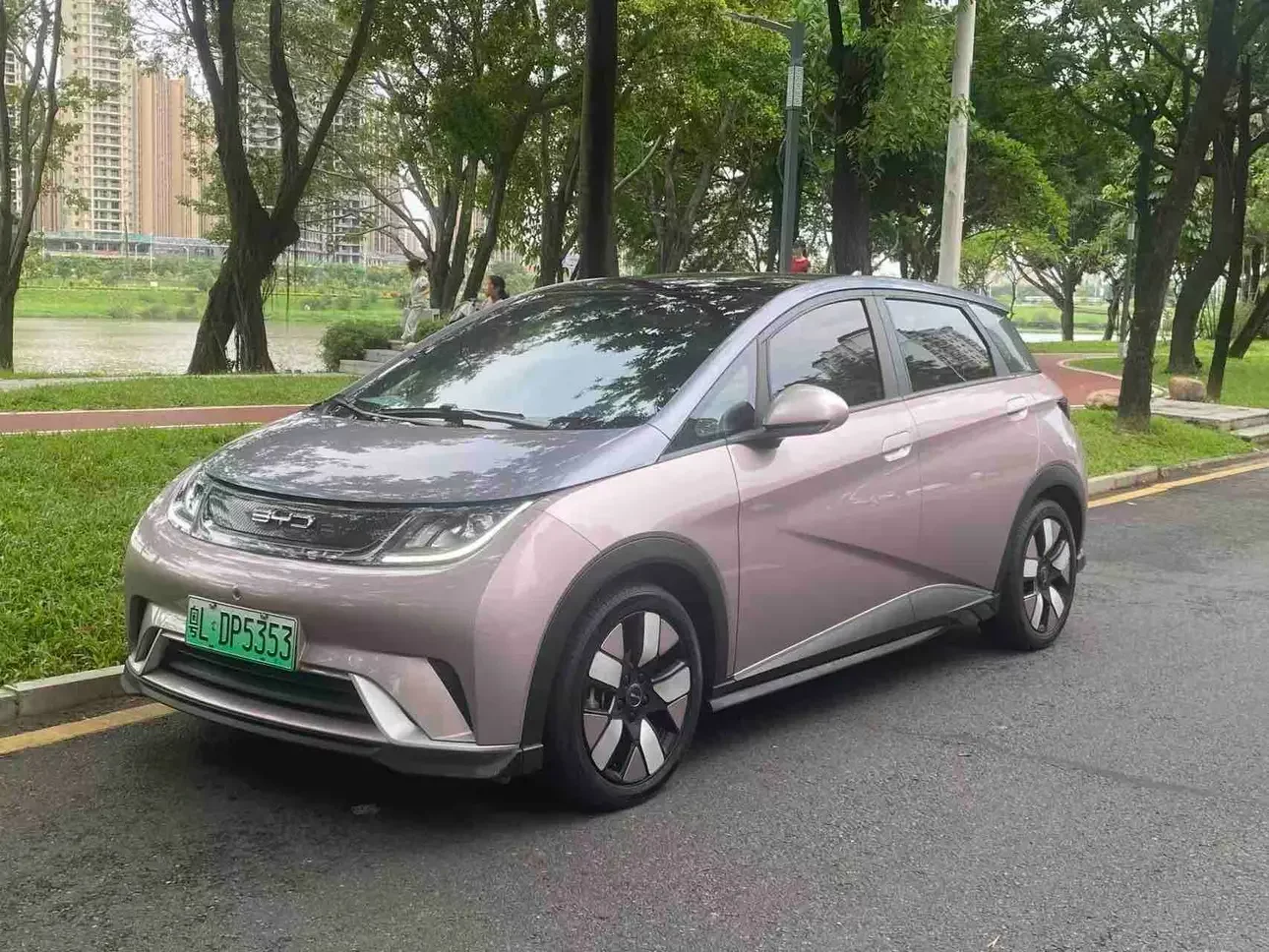 BYD dolphin