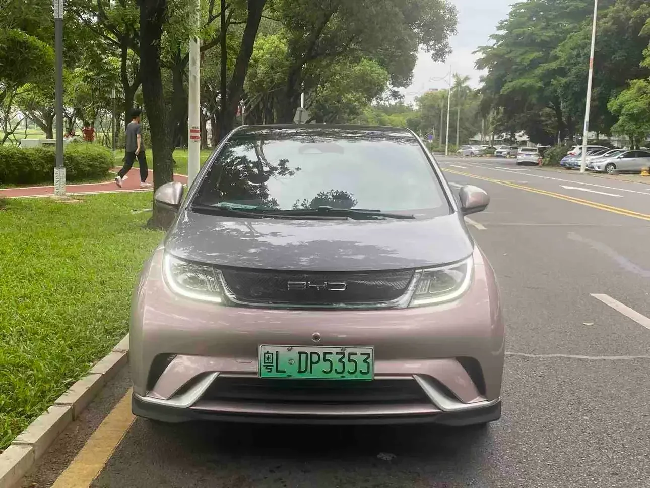 BYD dolphin