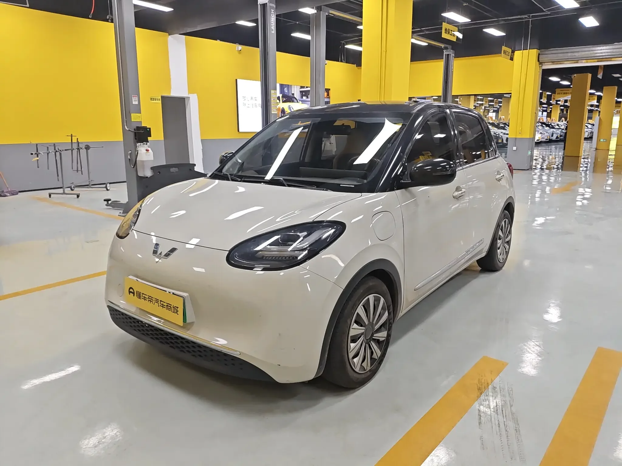 Wuling Bingo