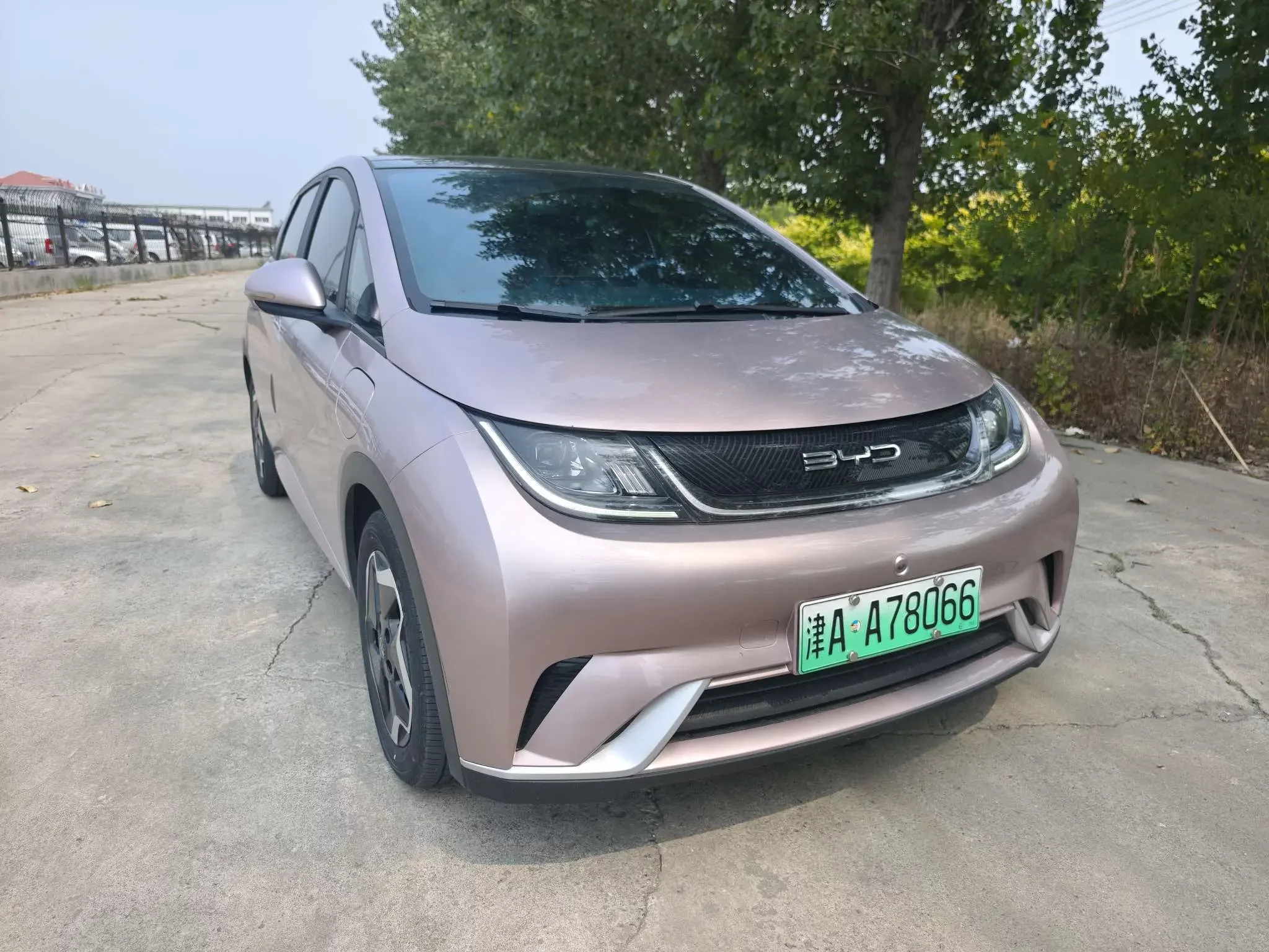 BYD dolphin