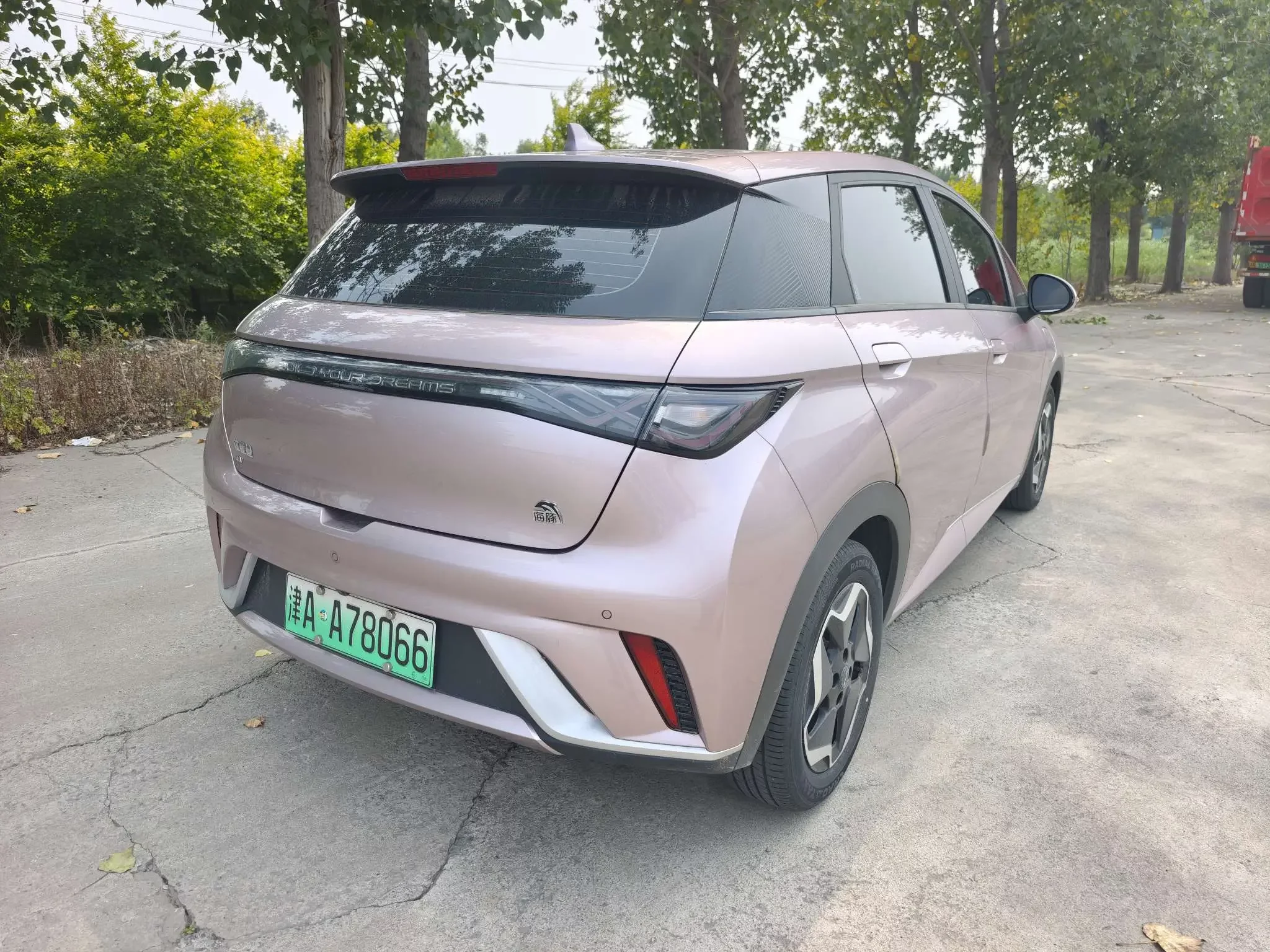 BYD dolphin