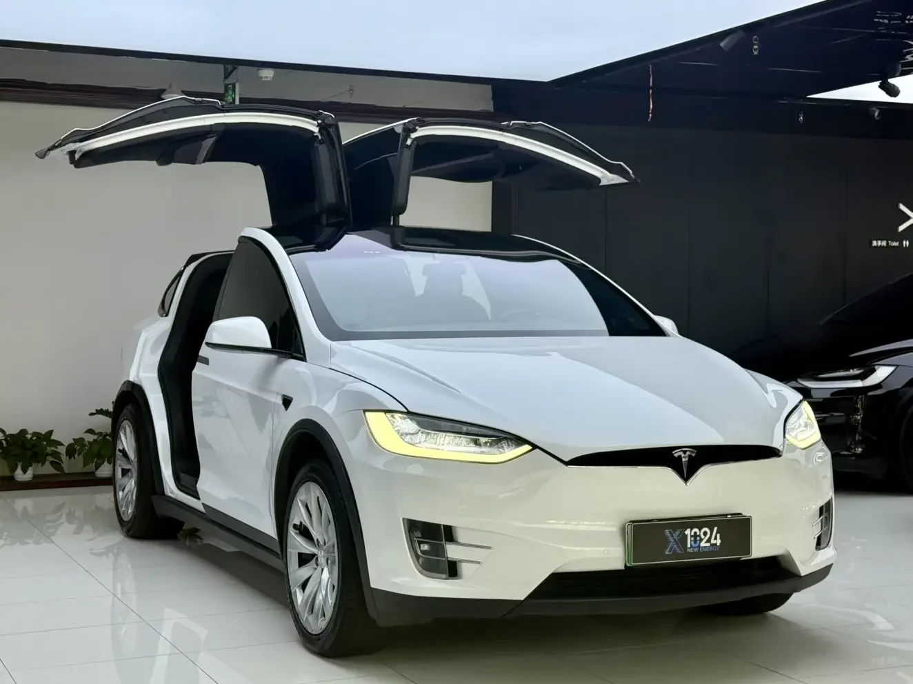 Tesla Model X