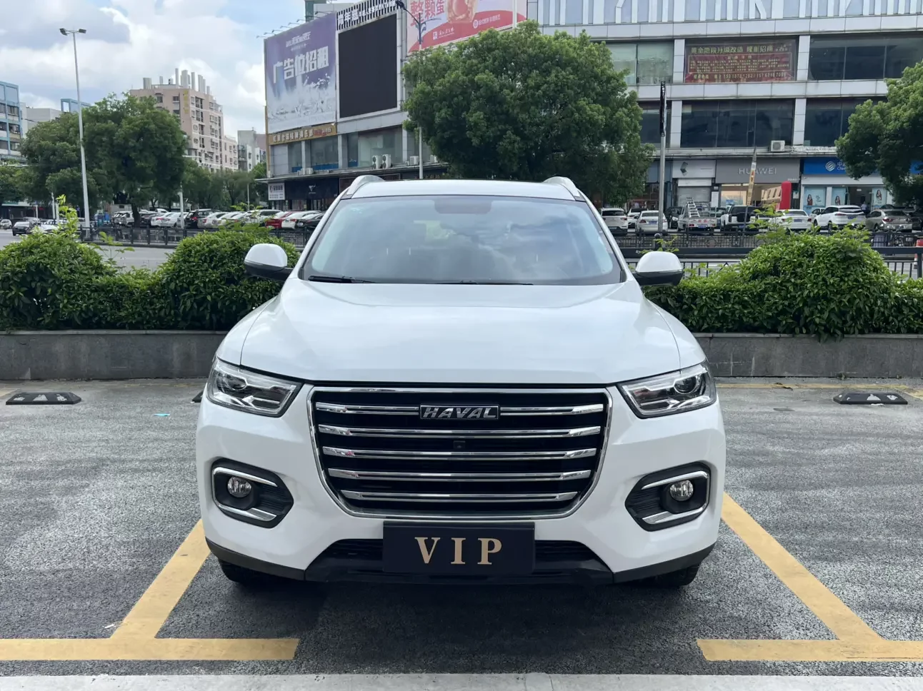 Haval H6
