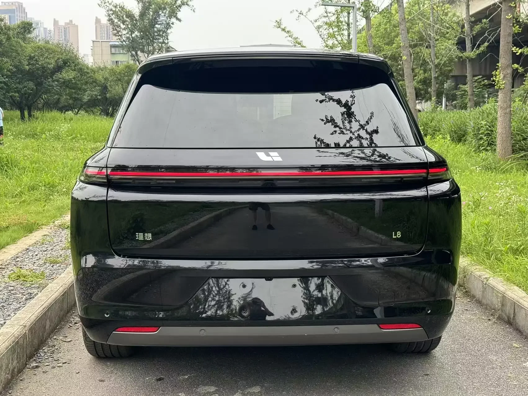 Lixiang L8