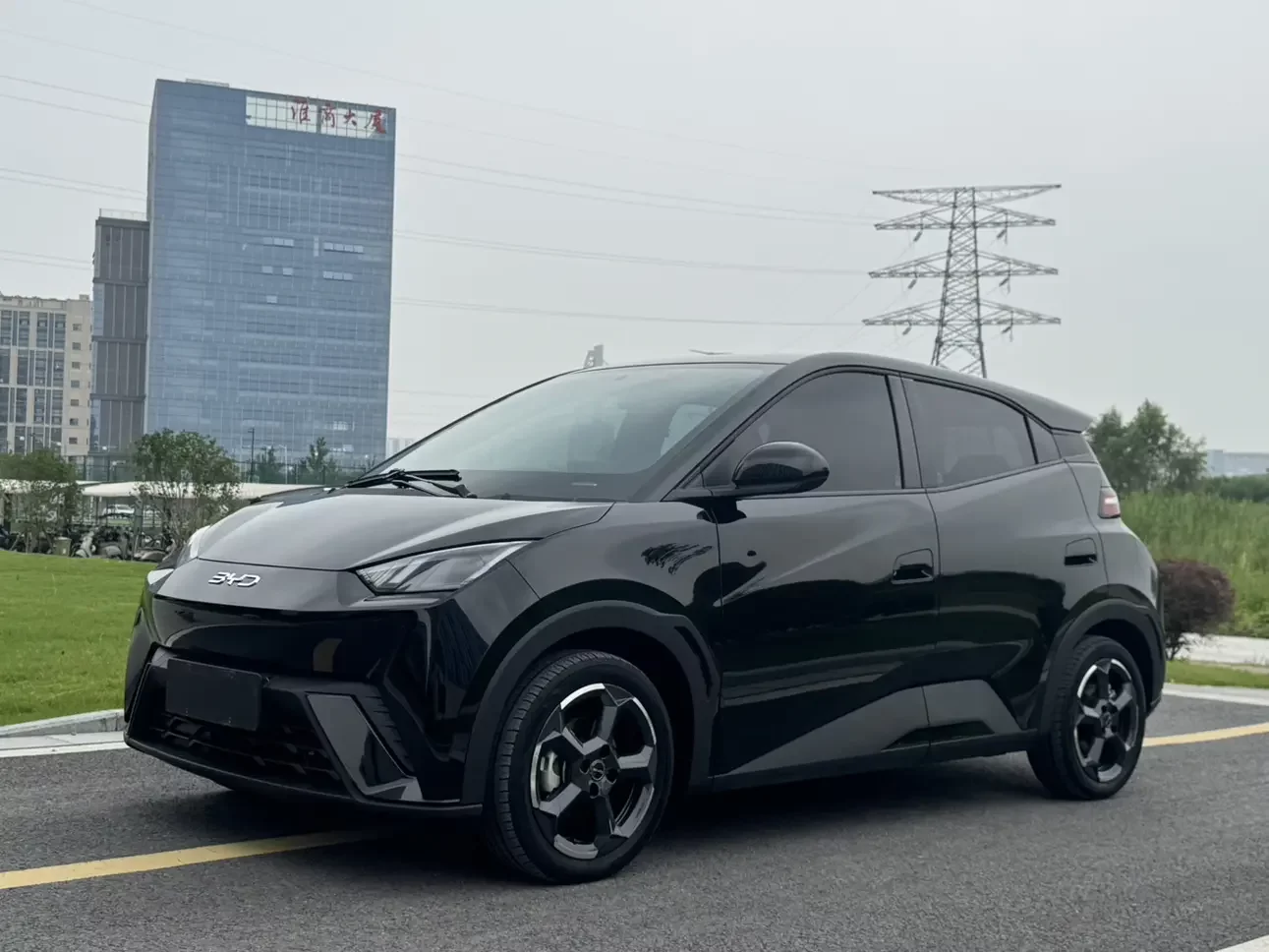 BYD seagull