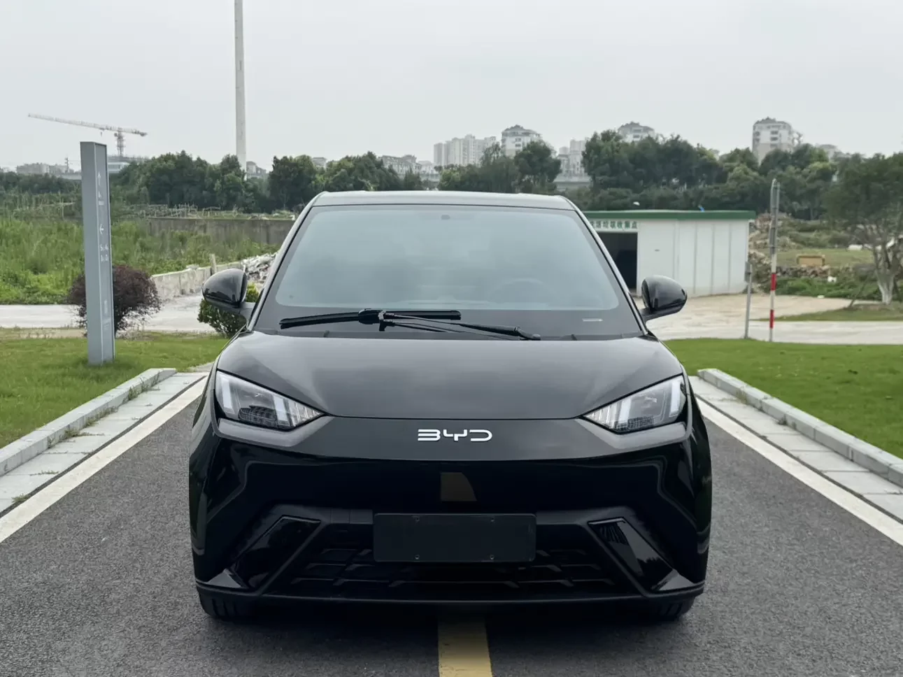 BYD seagull