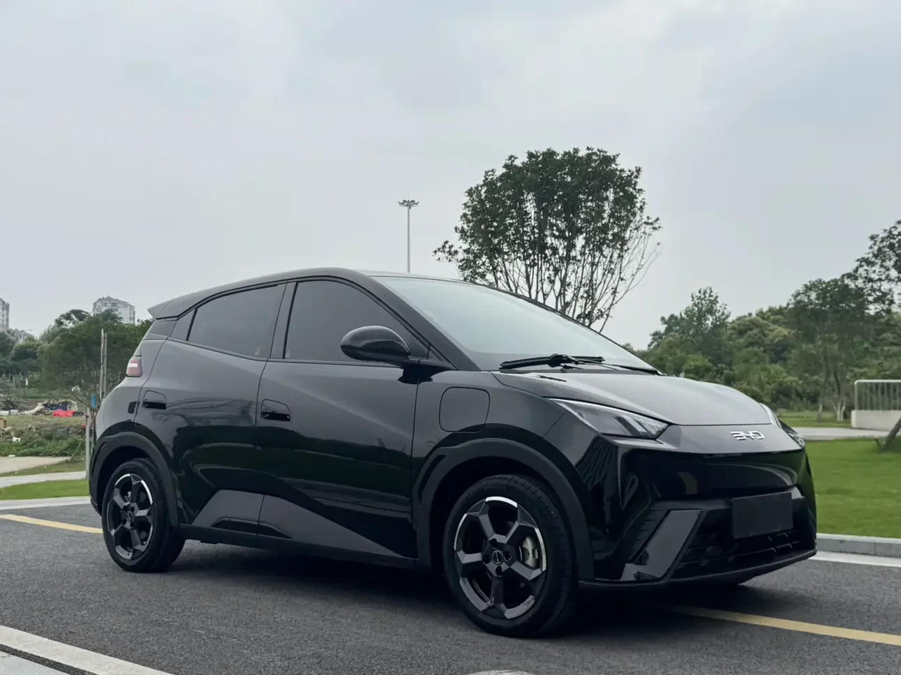 BYD seagull