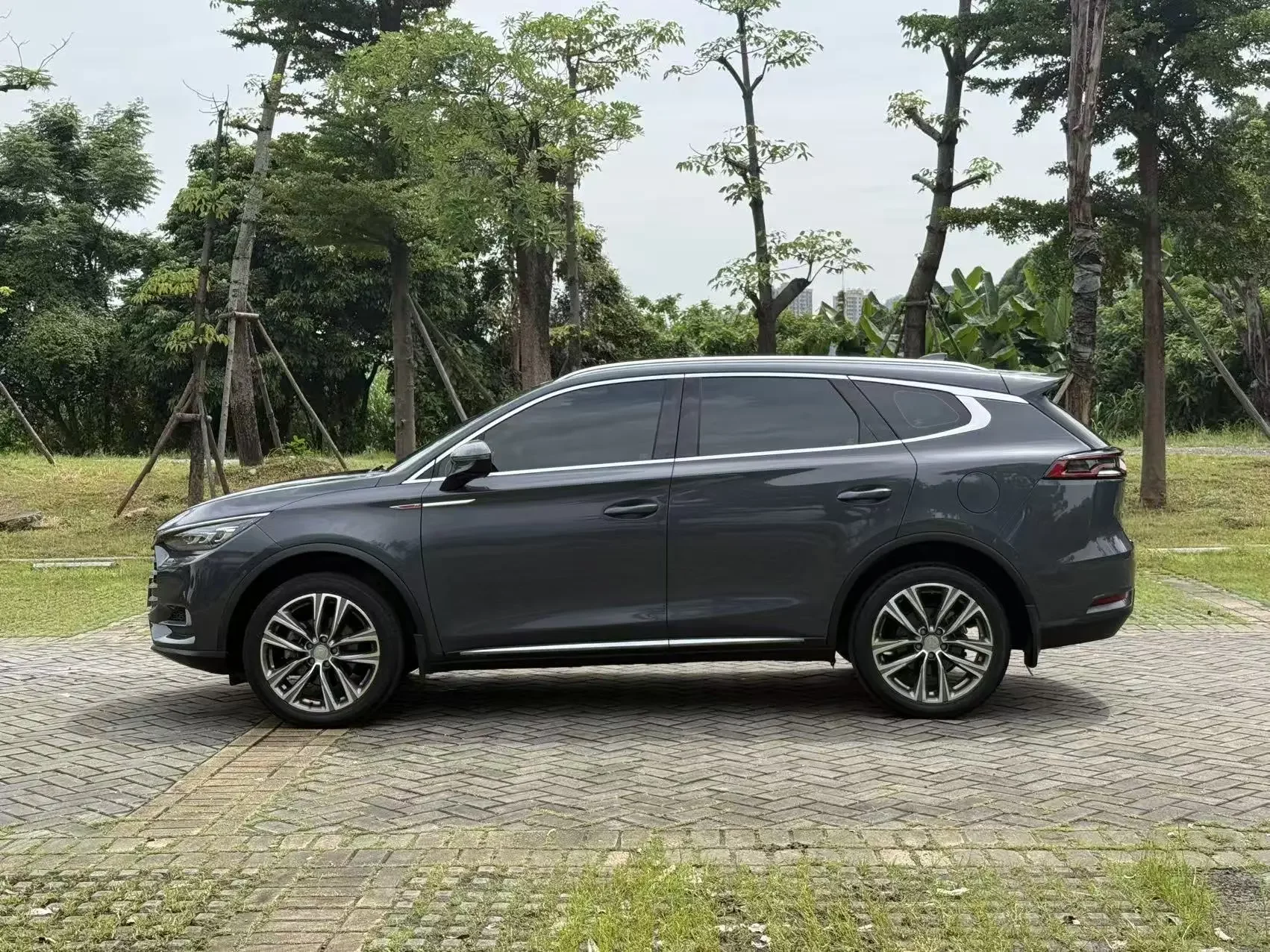 BYD Tang