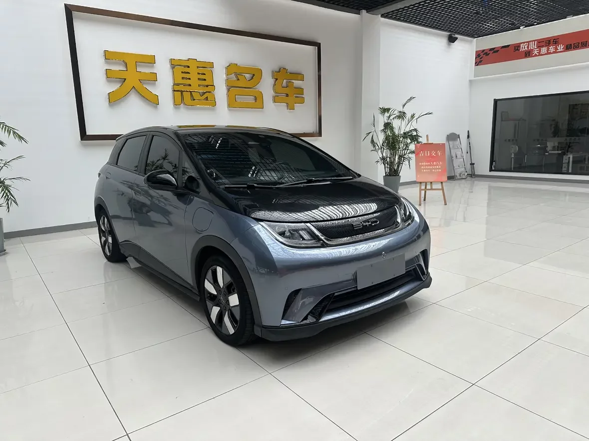 BYD dolphin