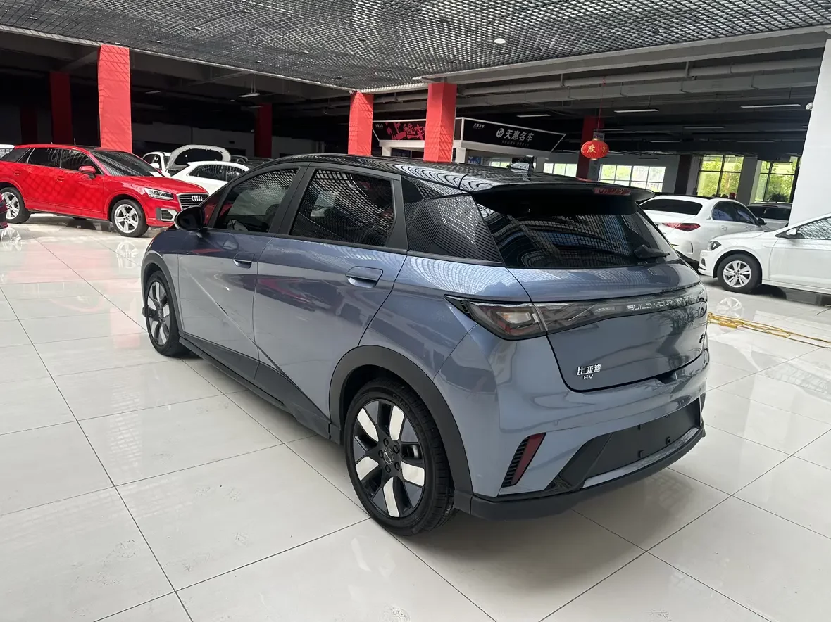 BYD dolphin