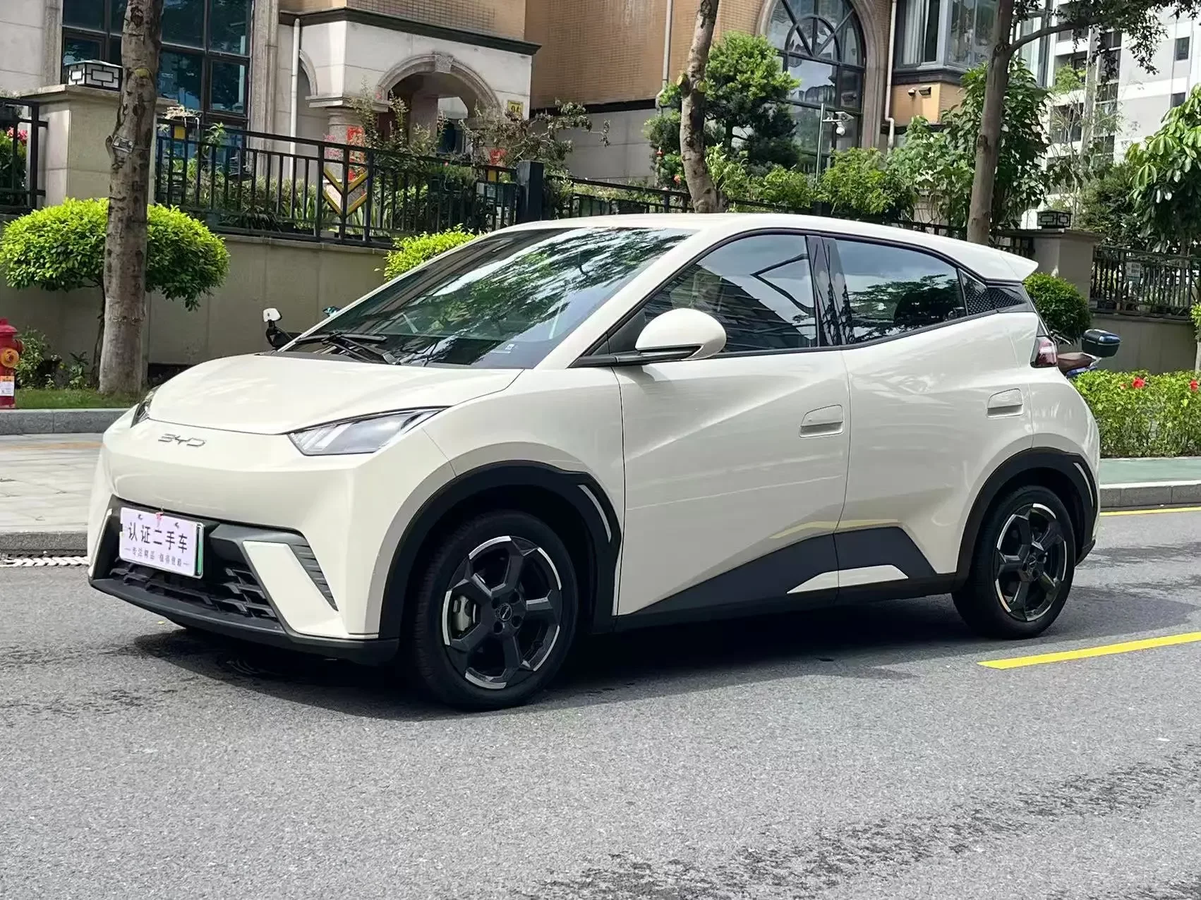 BYD seagull