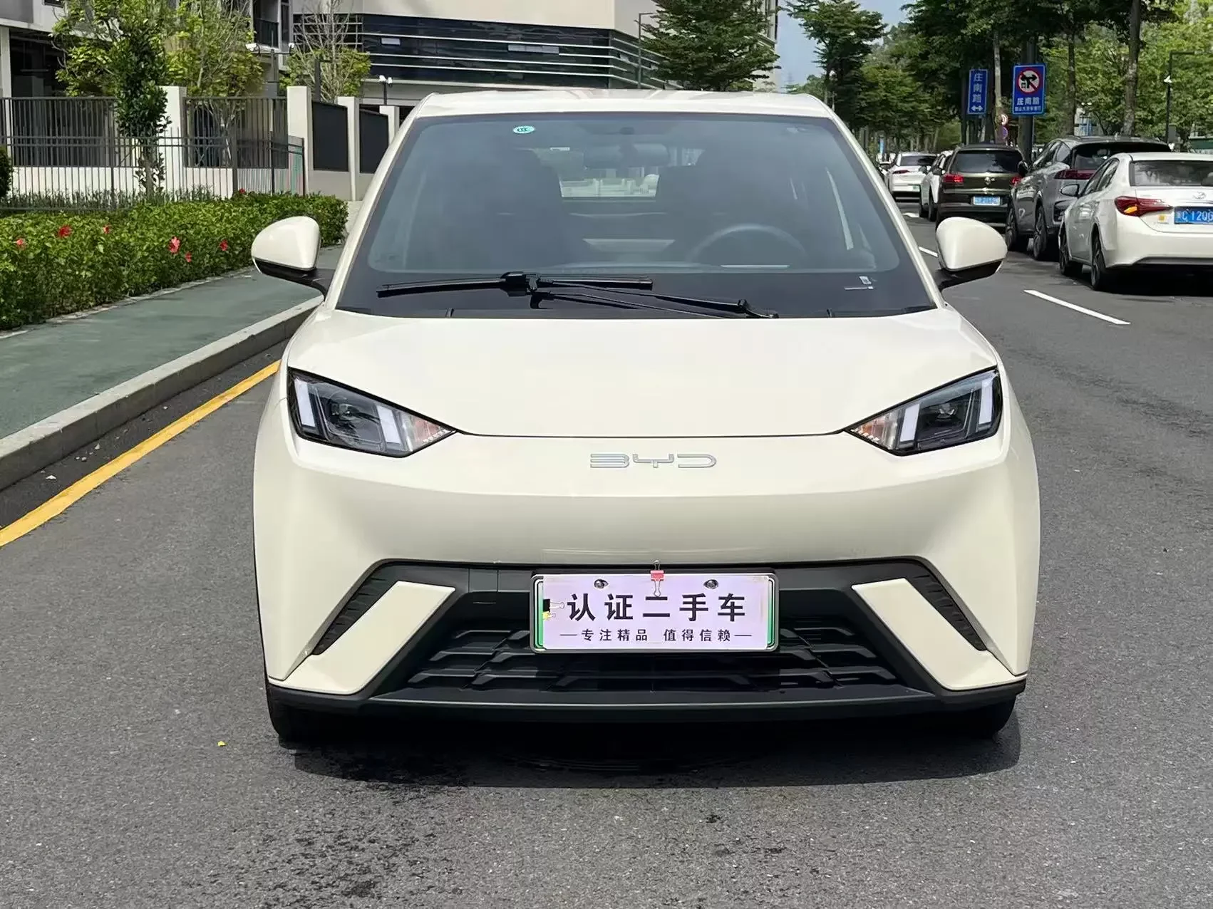 BYD seagull