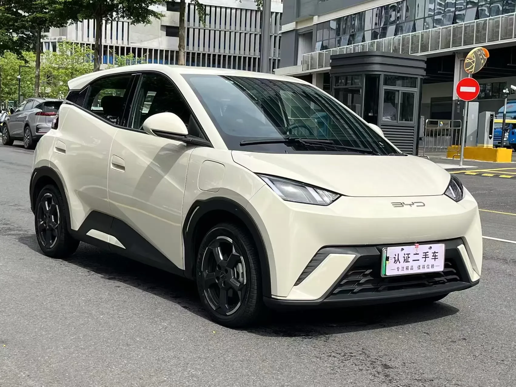BYD seagull