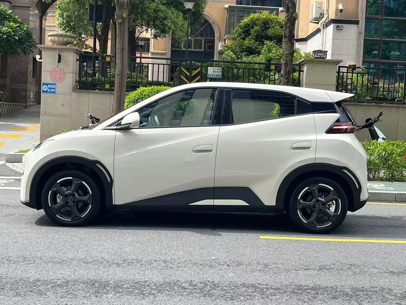 BYD seagull
