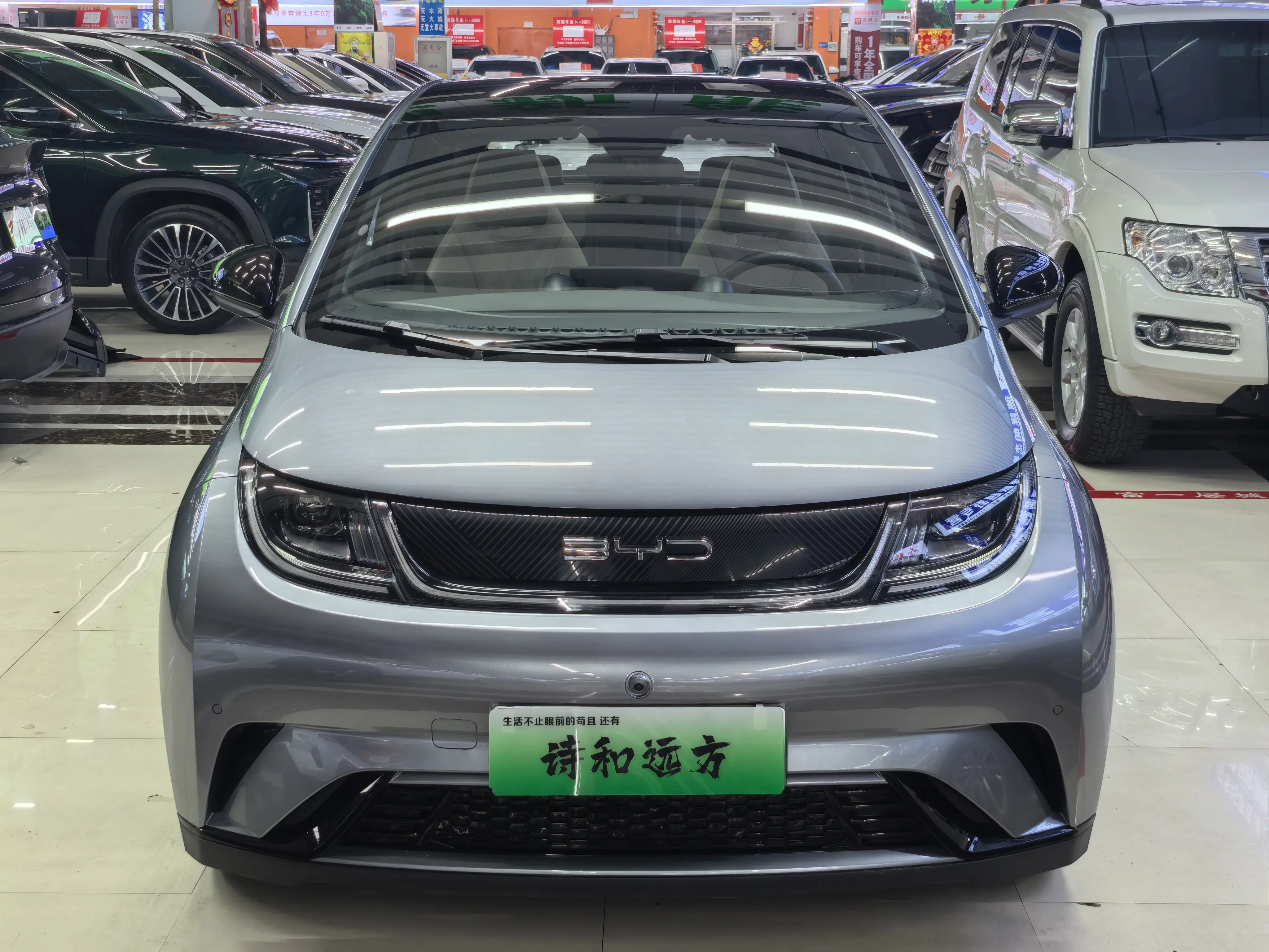 BYD dolphin