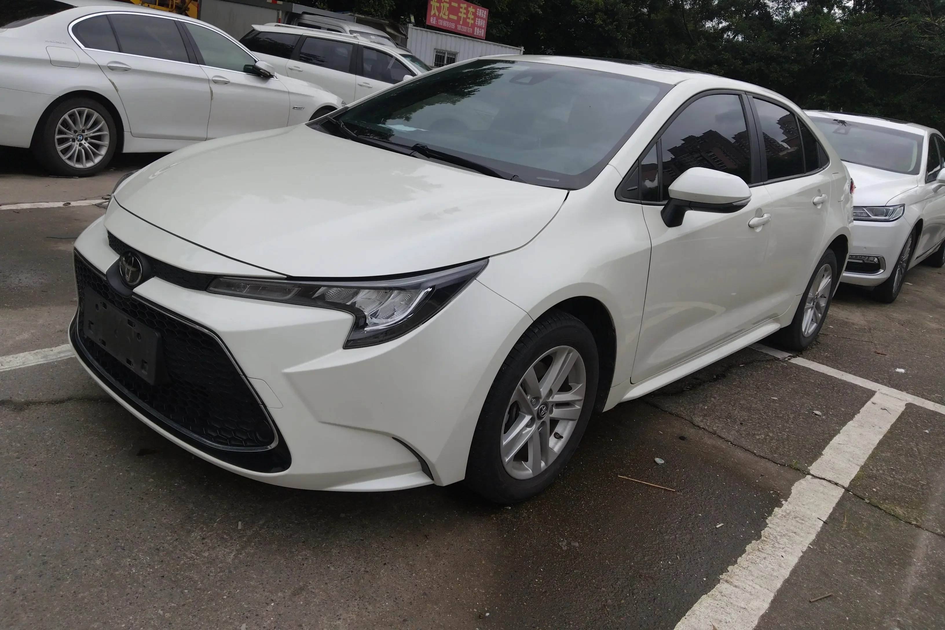 Toyota Levin