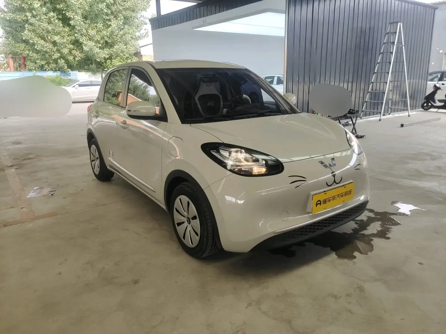 Wuling Bingo