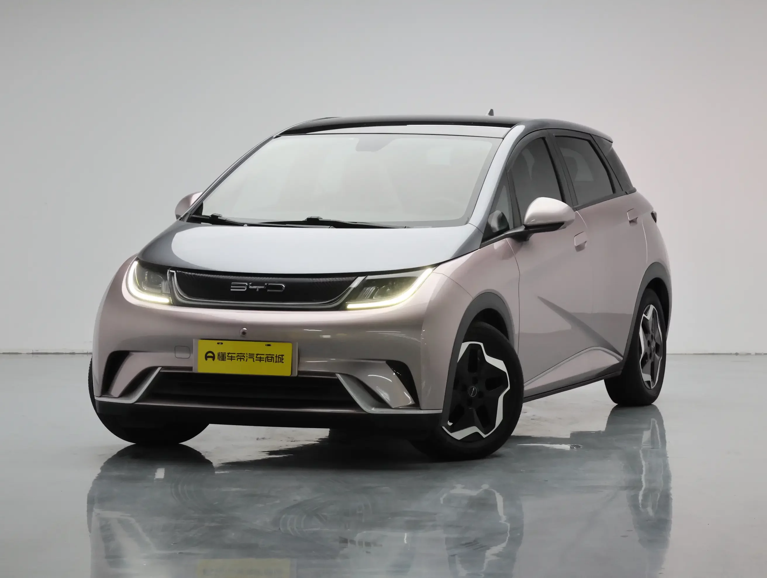 BYD dolphin
