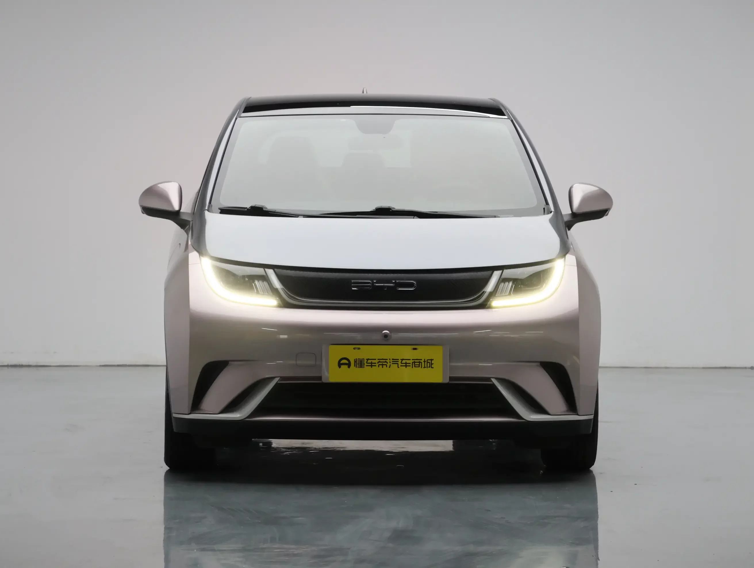 BYD dolphin