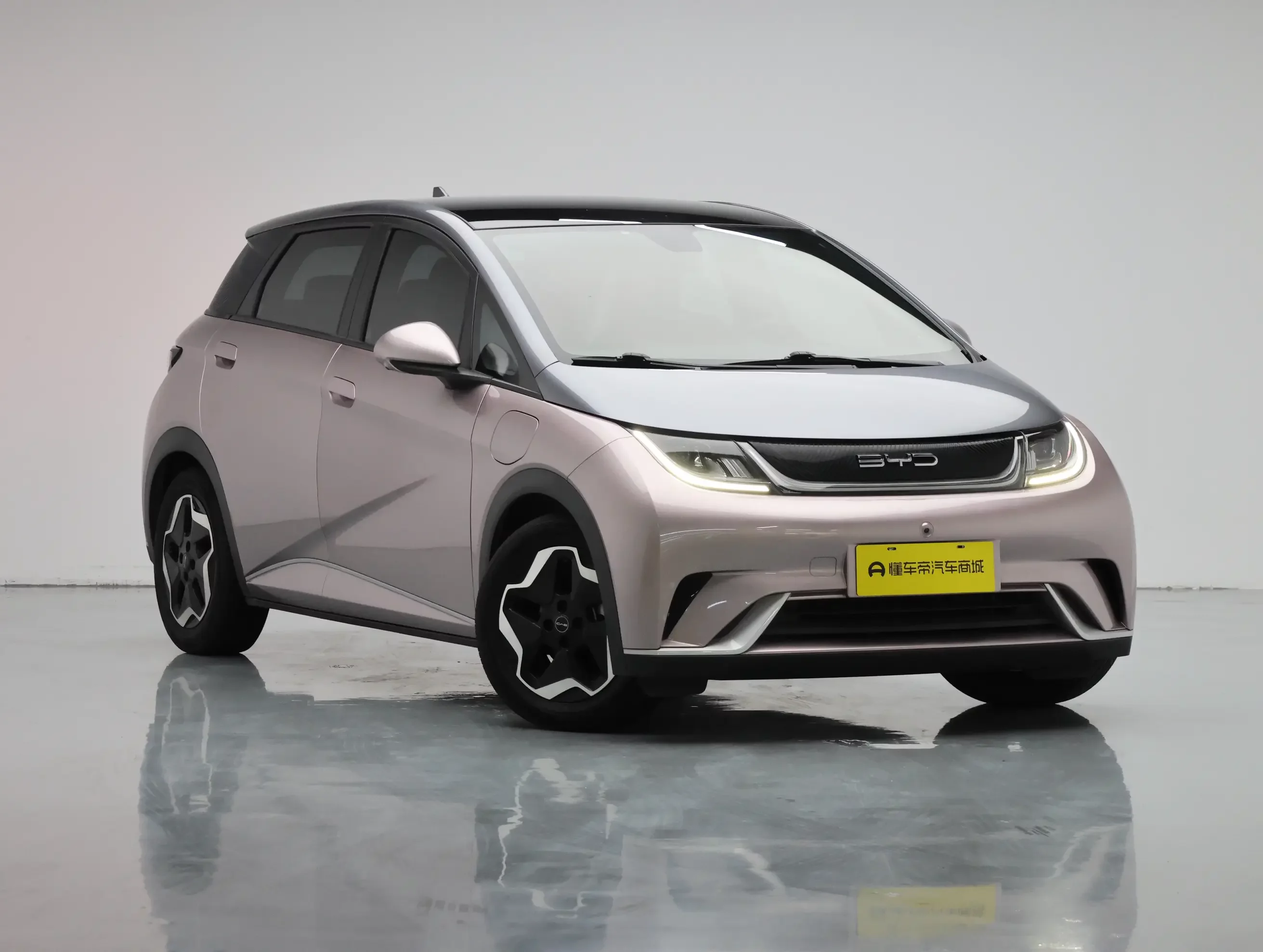 BYD dolphin