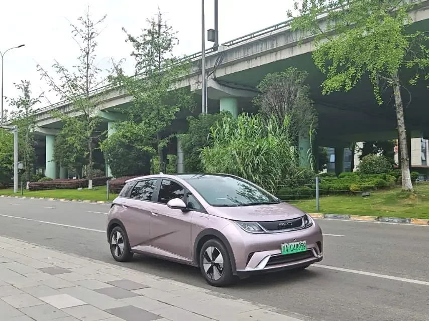 BYD dolphin
