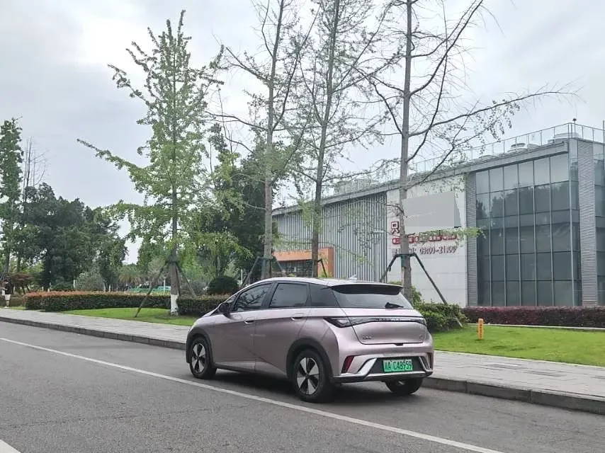 BYD dolphin