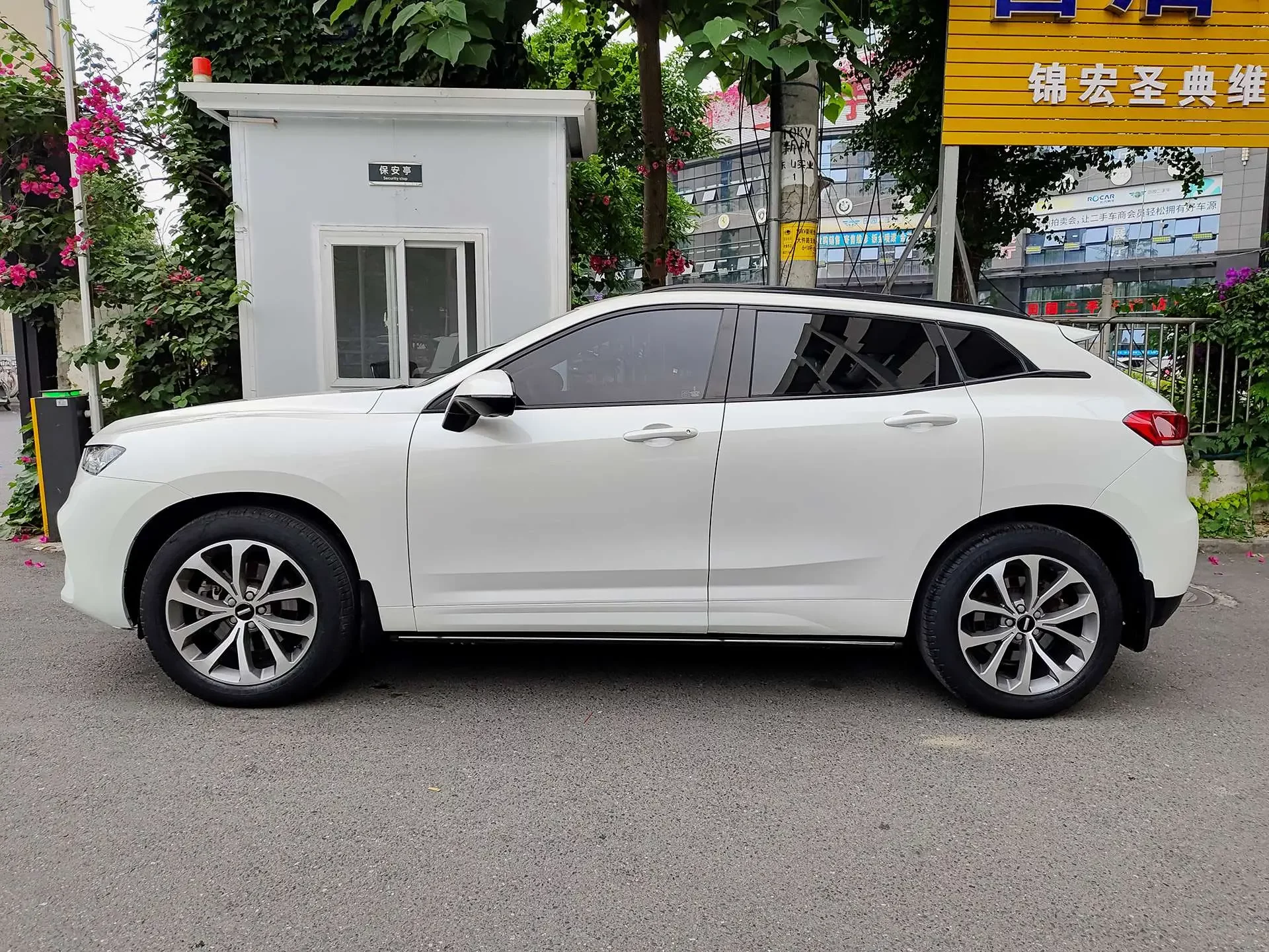 Wey Wei brand VV7