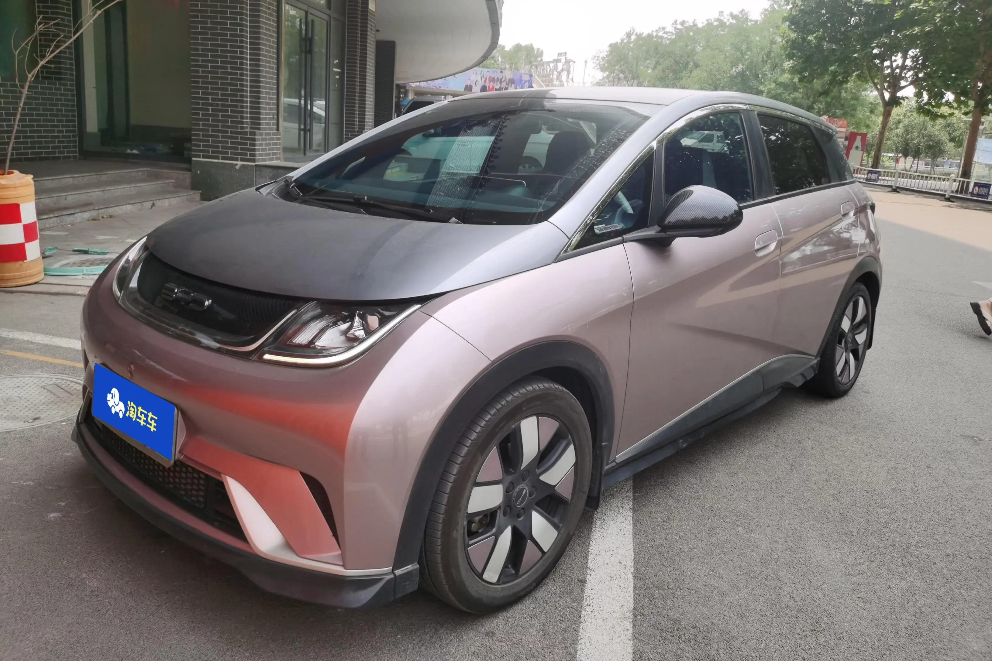 BYD dolphin