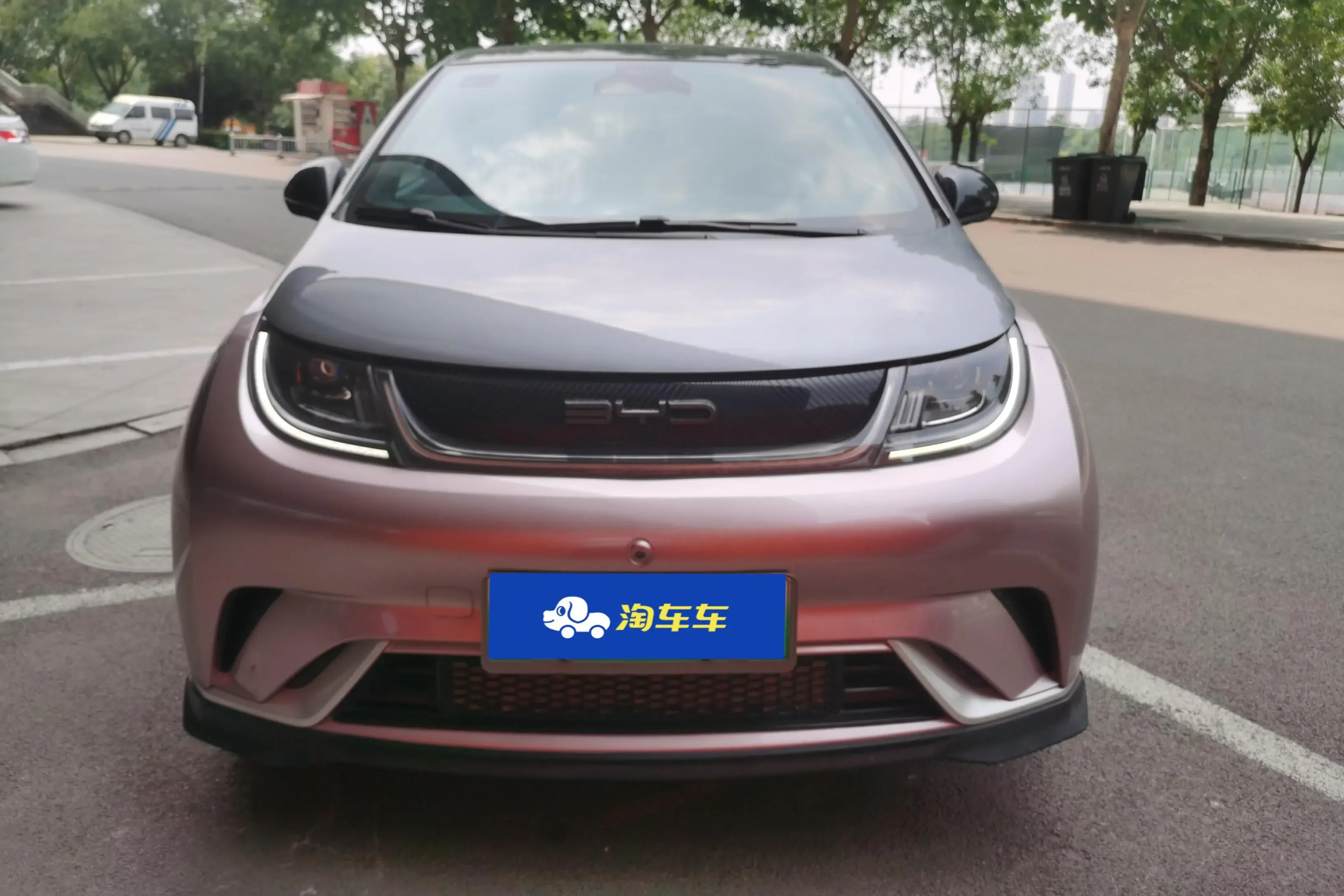 BYD dolphin