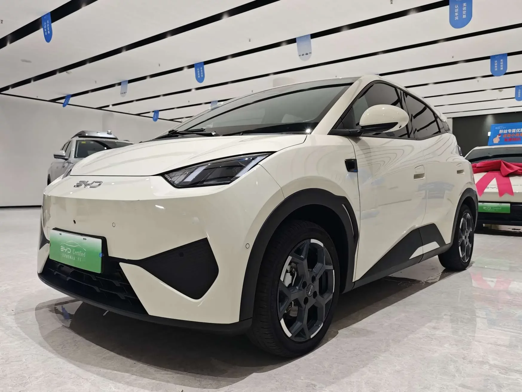 BYD seagull