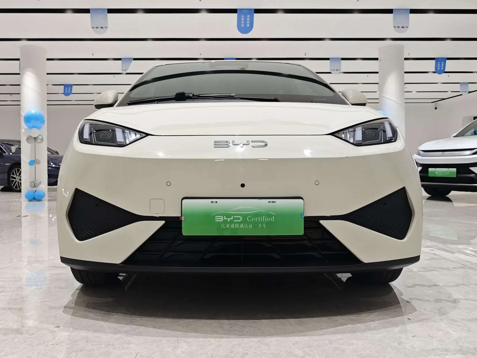 BYD seagull