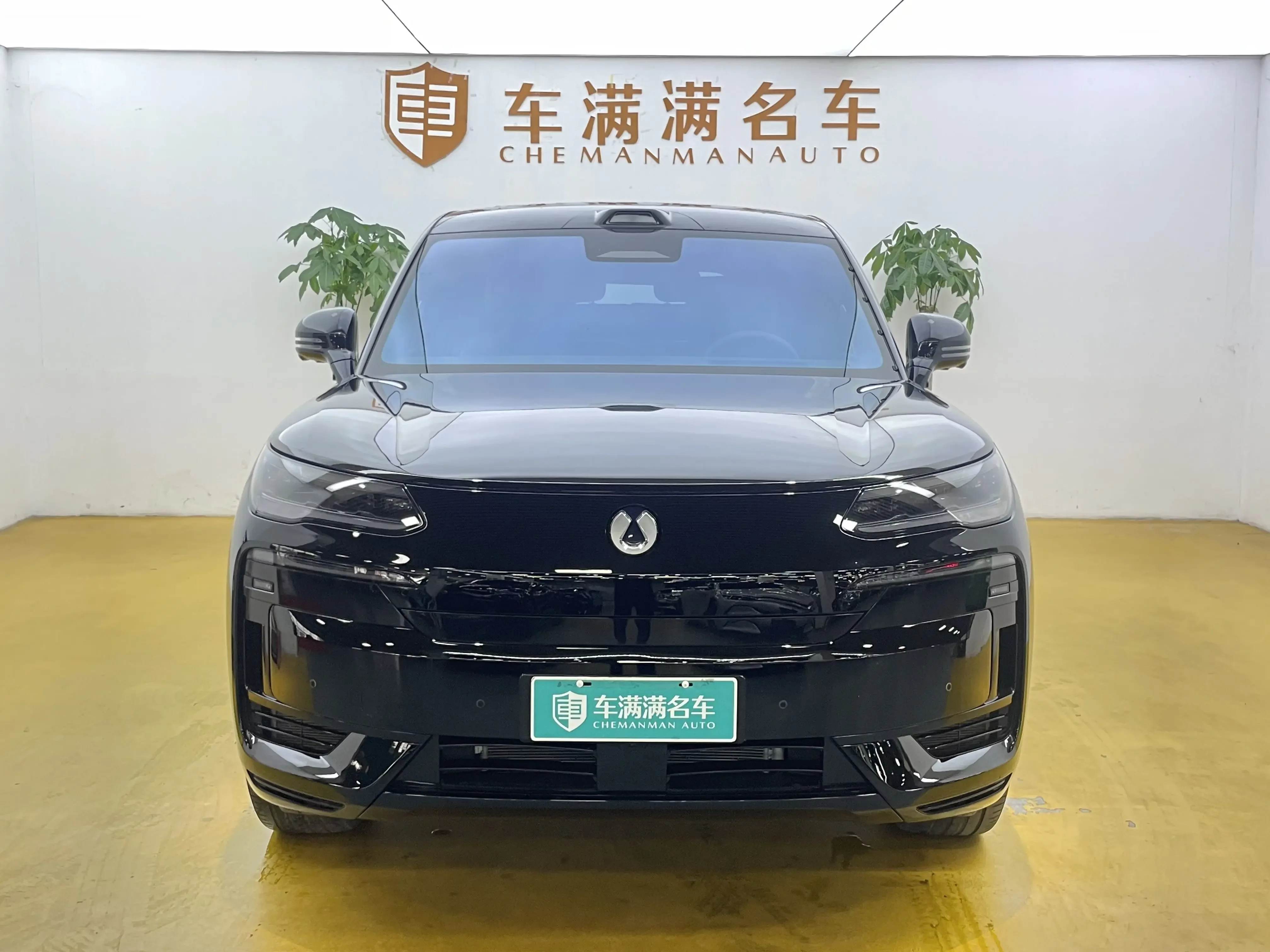 Denza Tengzhong N9 DM