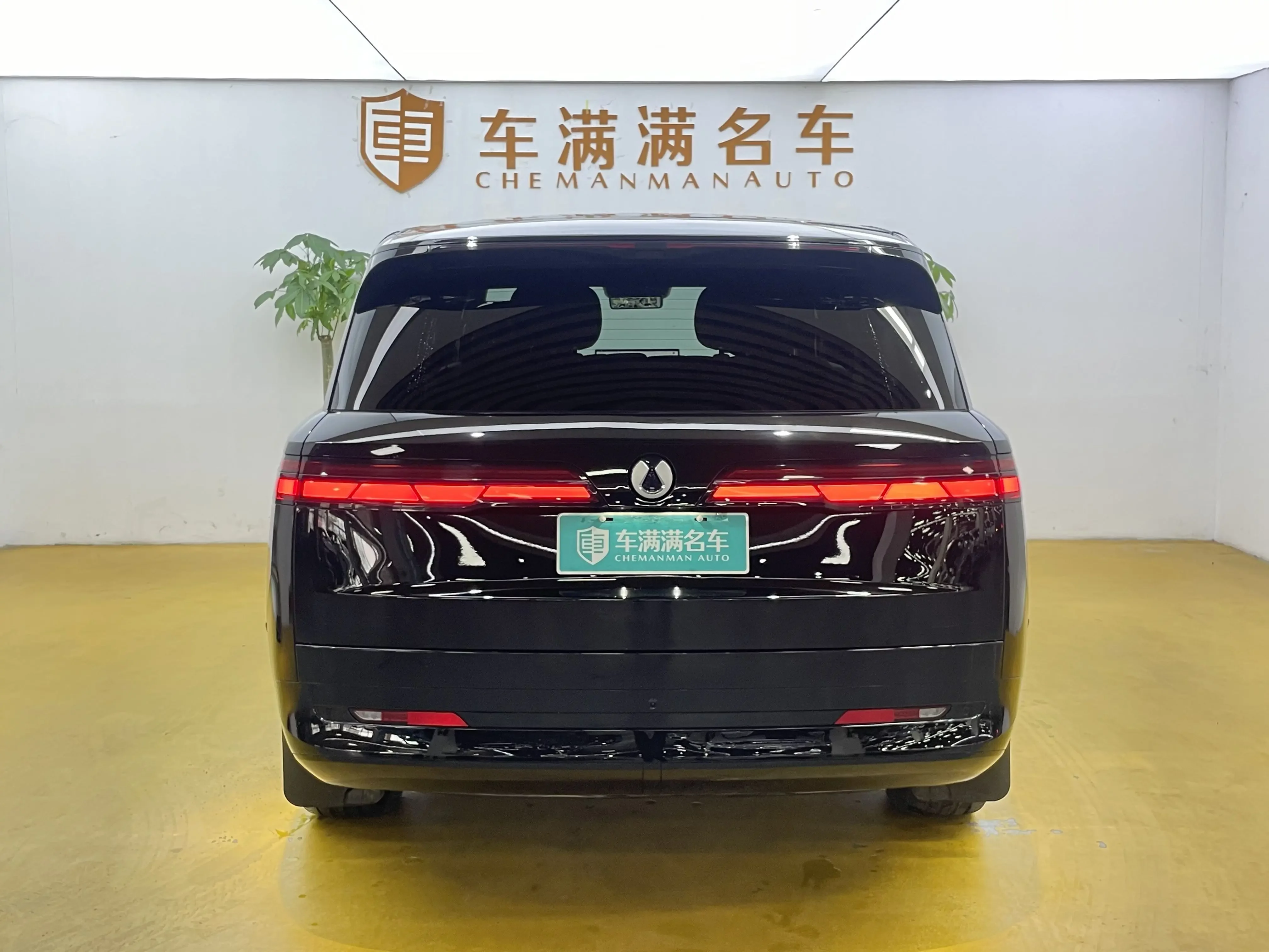 Denza Tengzhong N9 DM