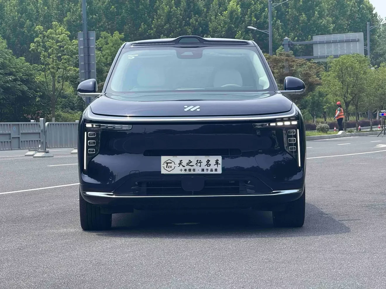 IM Motors LS9