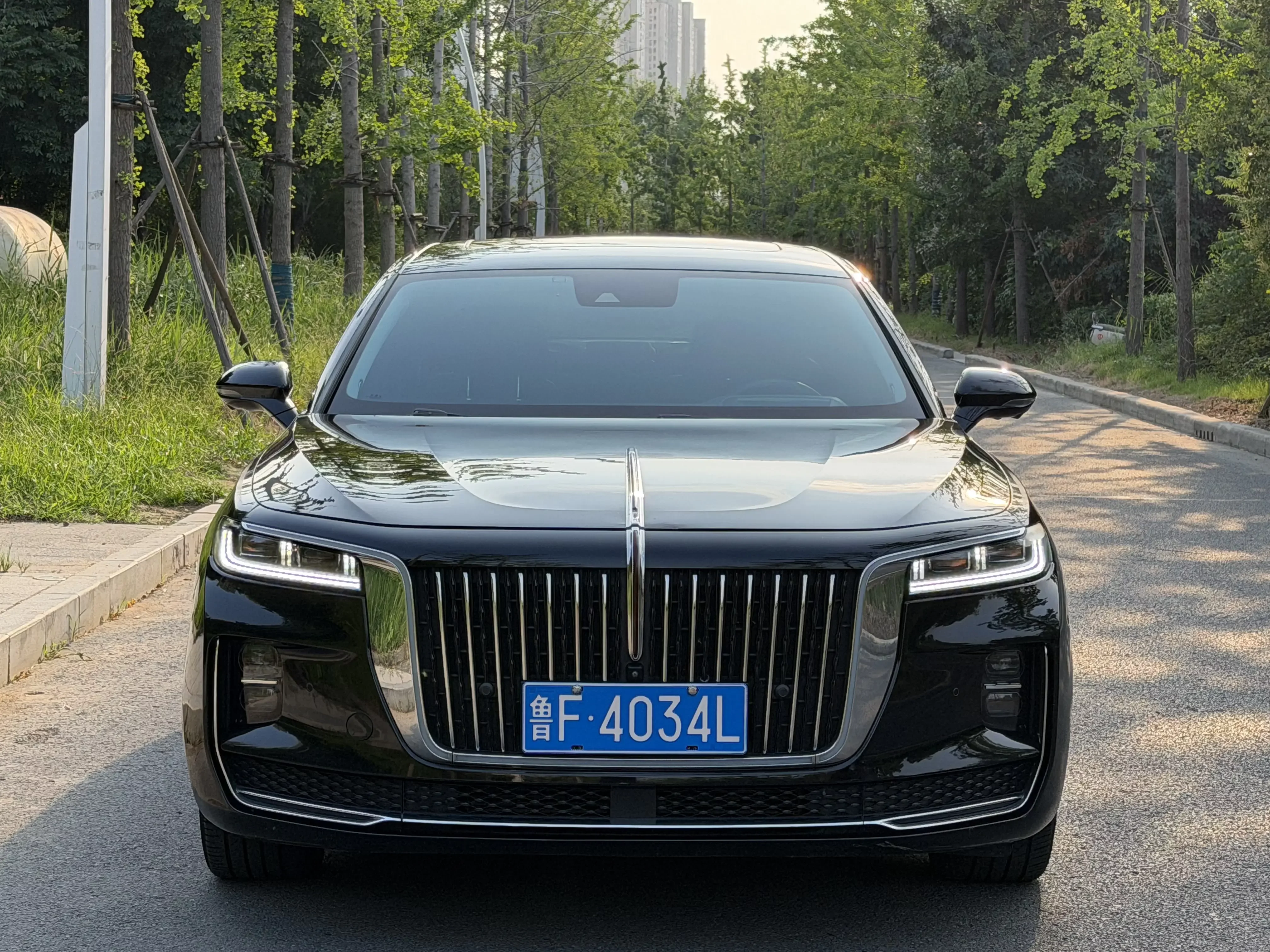 Hongqi H9