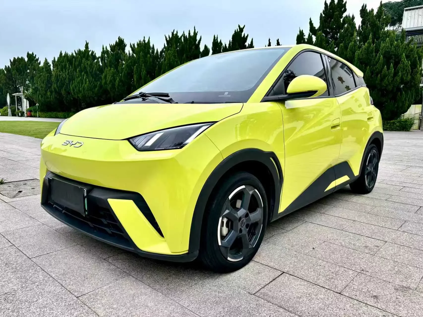 BYD seagull
