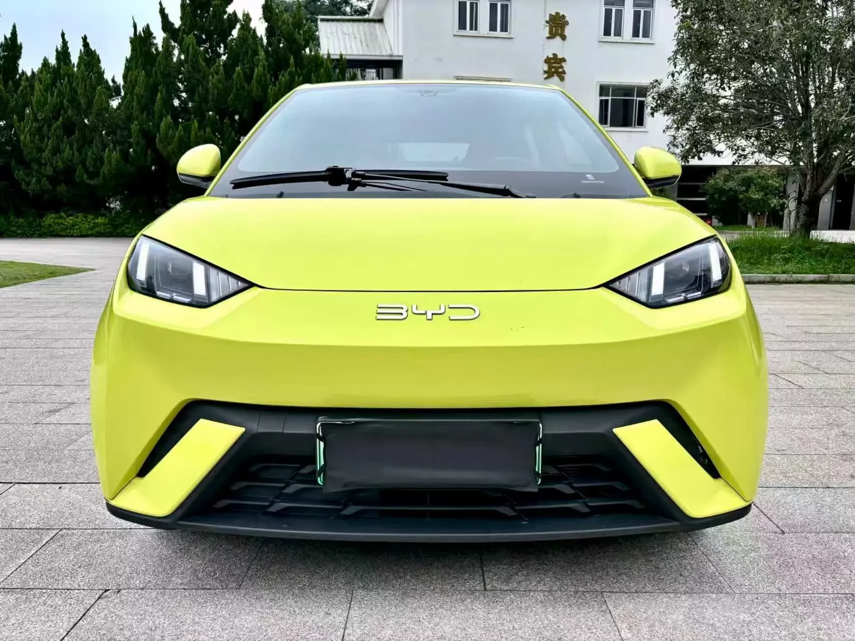 BYD seagull