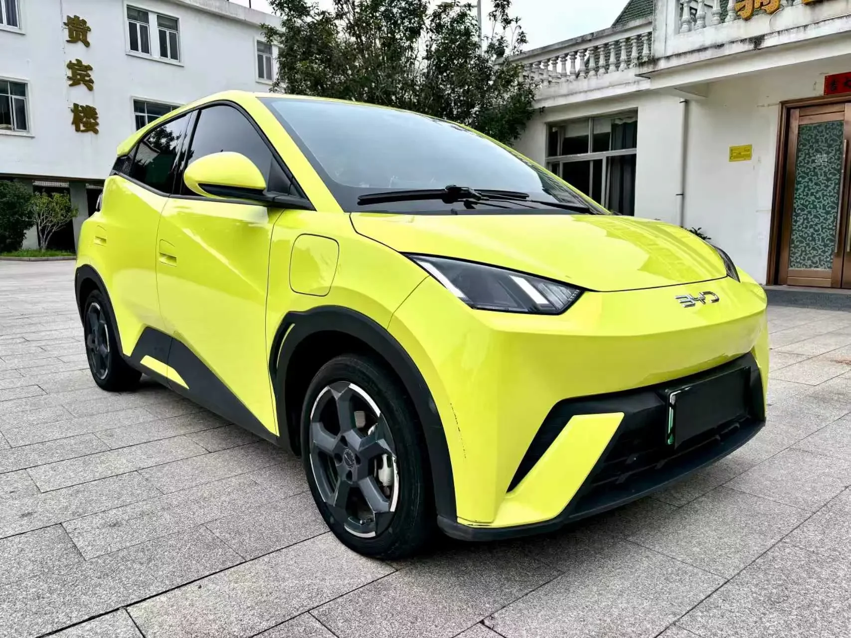 BYD seagull