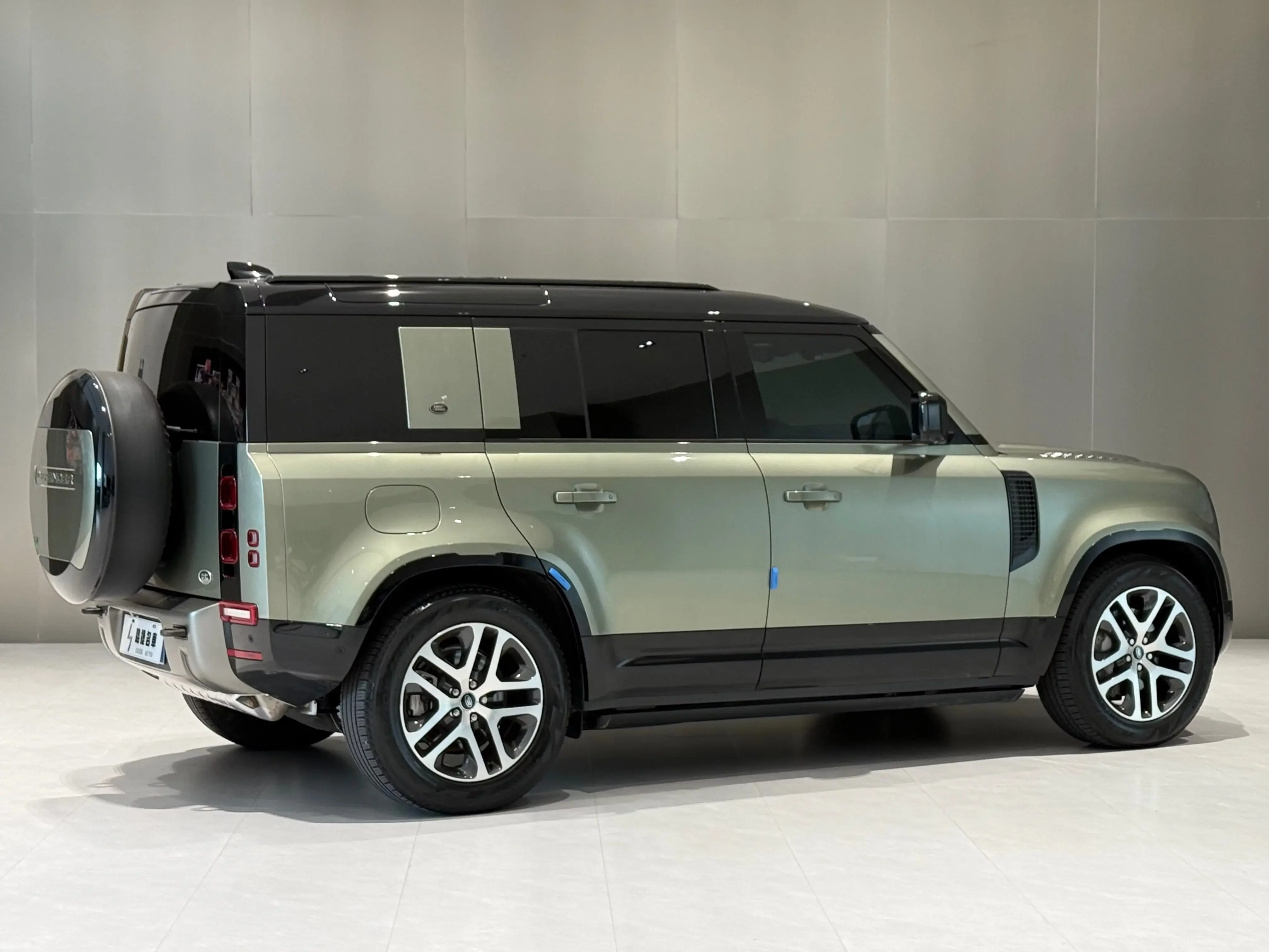 Land Rover guard