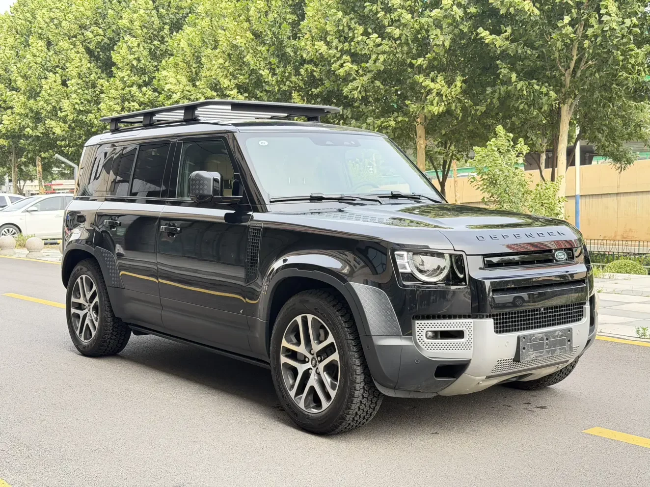Land Rover guard