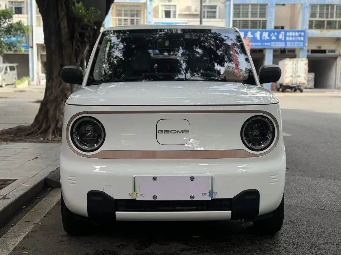 Geely panda
