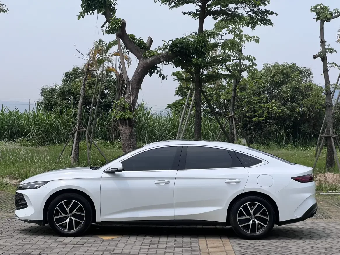 BYD Qin L DM