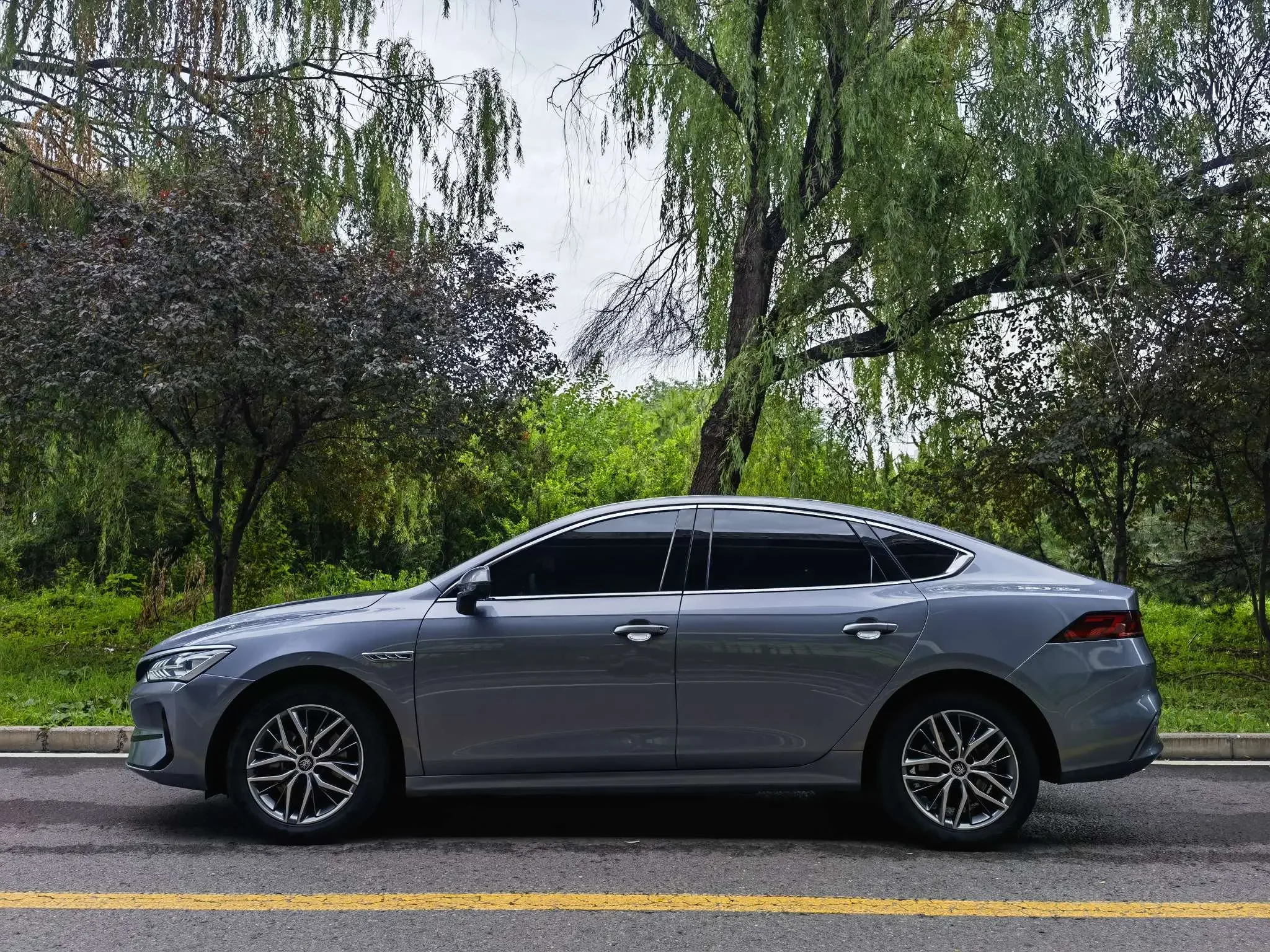 BYD Qin PLUS EV