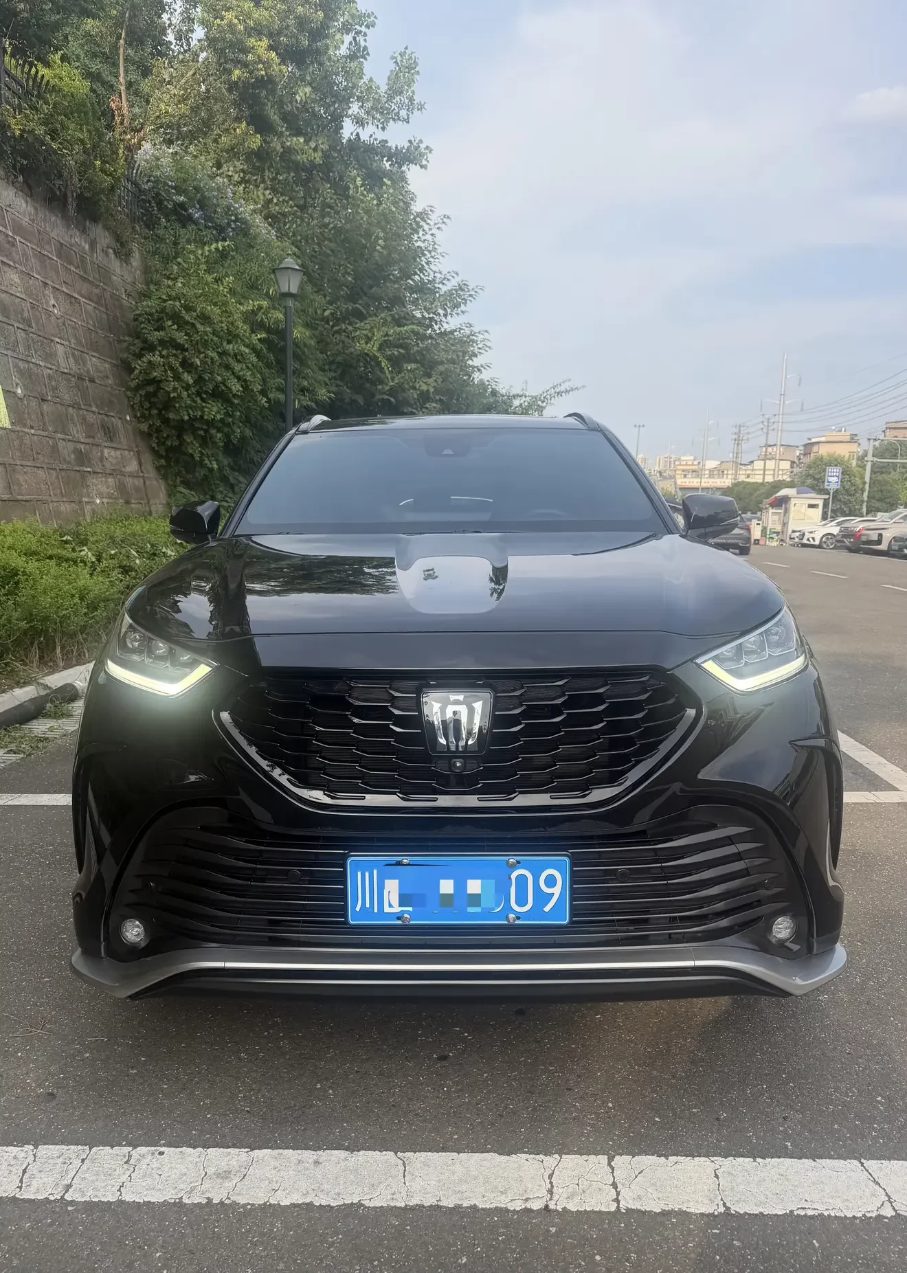 Toyota Crown Kluger