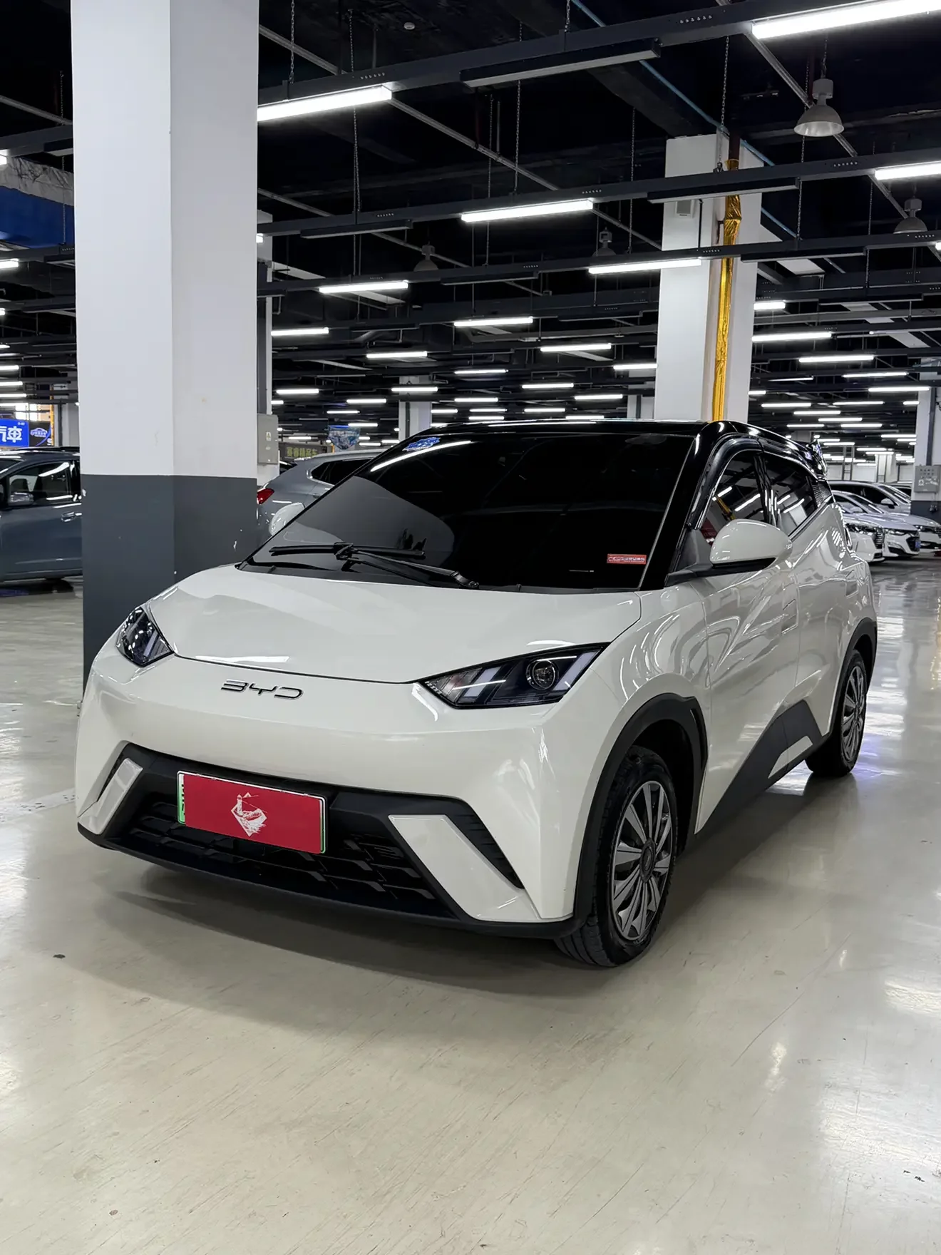 BYD seagull