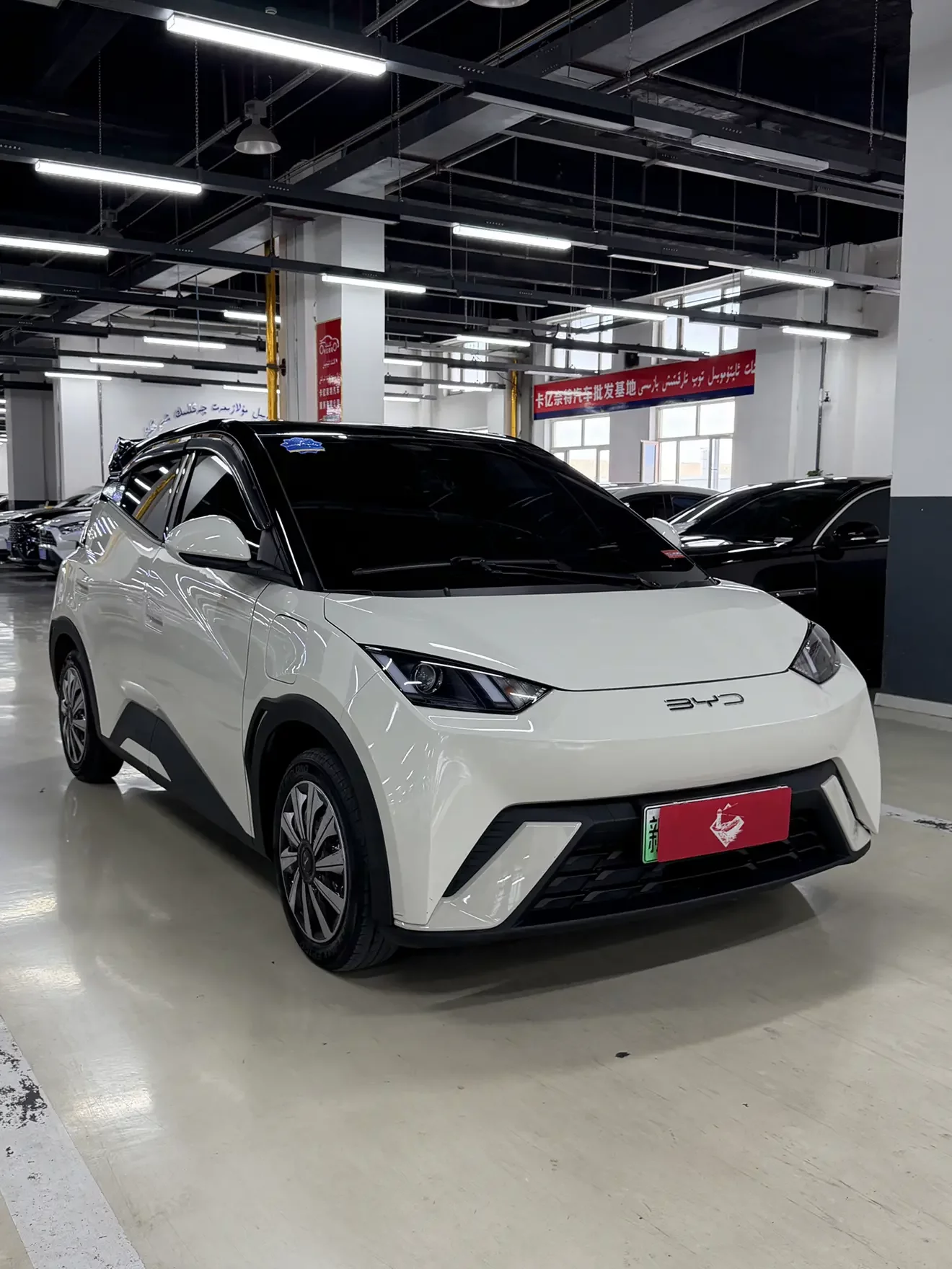 BYD seagull